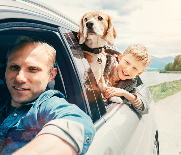 Arkansas Auto owners with Auto Insurance Coverage