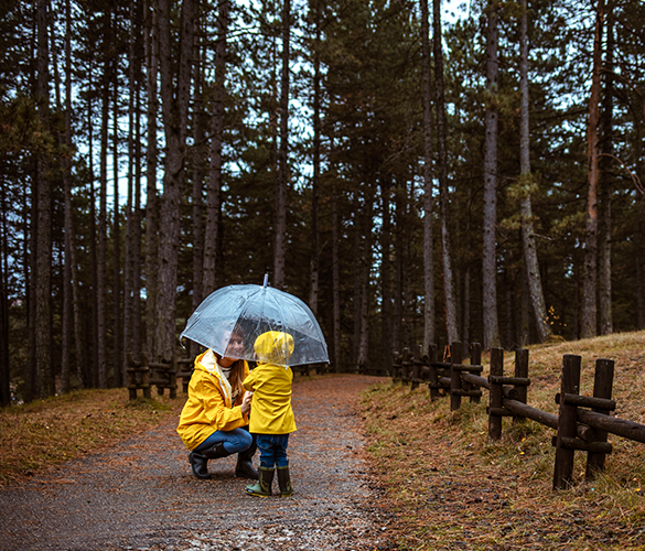 Arkansas Umbrella Insurance Coverage